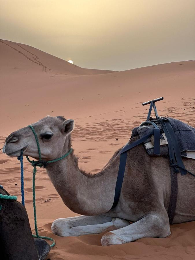 Riad Aicha & Camel Trekking Merzouga Exterior photo